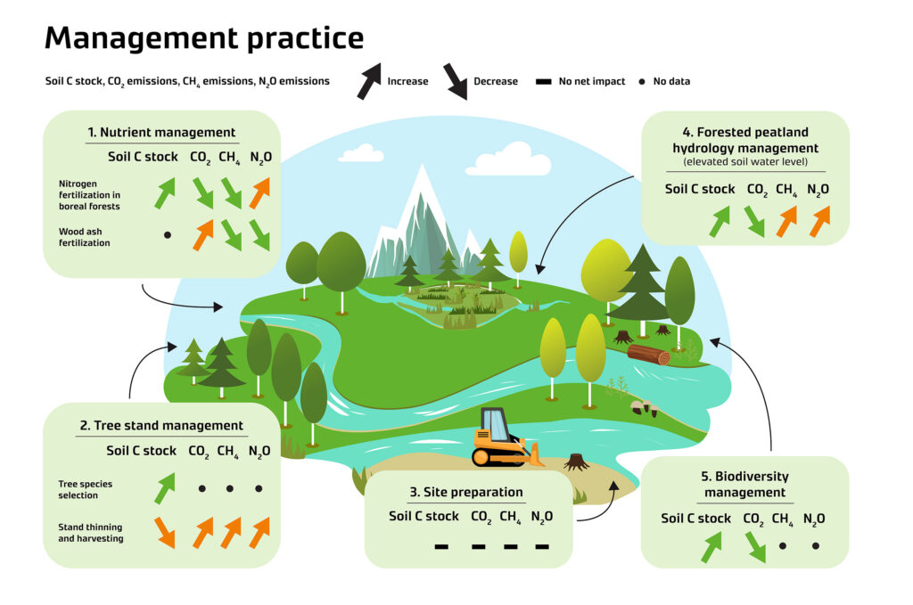 Positive Implications for Forest Management