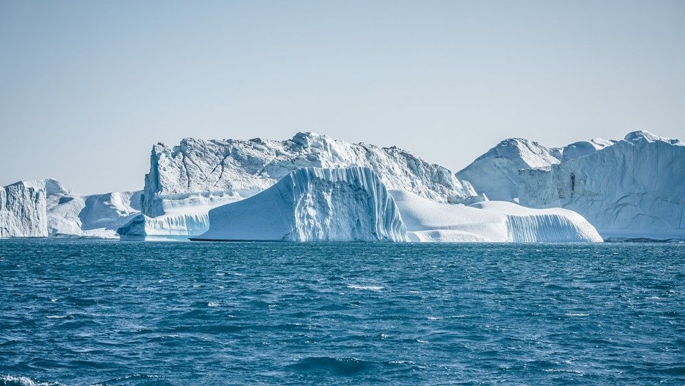 Unveiling Antarctica's Hidden Life: 5 Astonishing Discoveries