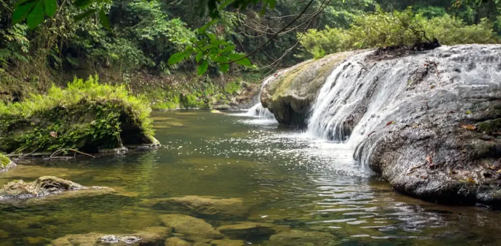 Understanding this hum offers insights into Earth's interior, aiding in earthquake preparedness and resource exploration. It's a reminder of our planet's interconnectedness, where oceanic movements echo through solid Earth.
